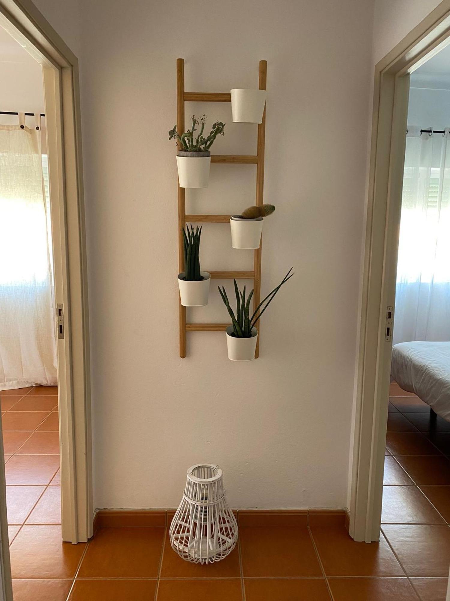 Apartamento Vicentino Vila Nova de Milfontes Exterior foto